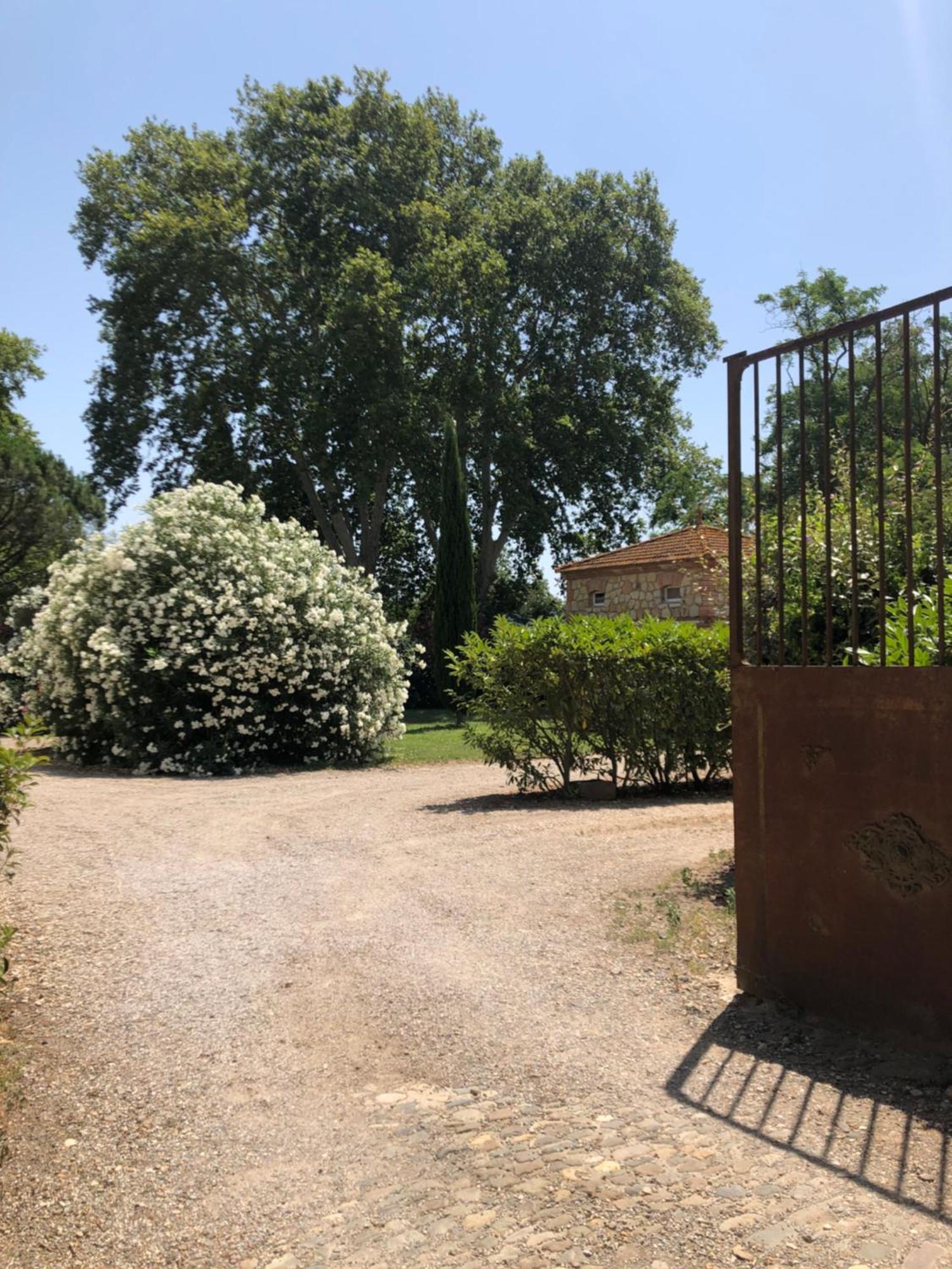 Gîte Superbe L'Ecurie XIXème Sallèles-dʼAude Esterno foto