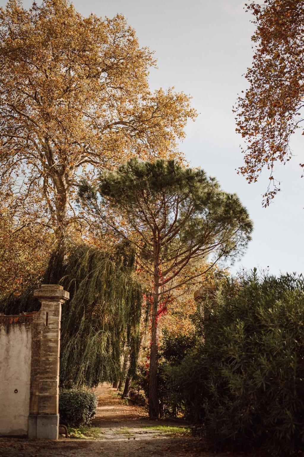 Gîte Superbe L'Ecurie XIXème Sallèles-dʼAude Esterno foto